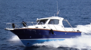 Sar 880V Cruiser